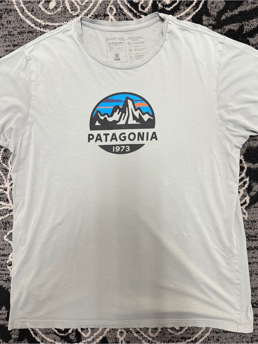 Patagonia Men’s Light Blue Graphic Tee with Multicolor Mountain Logo